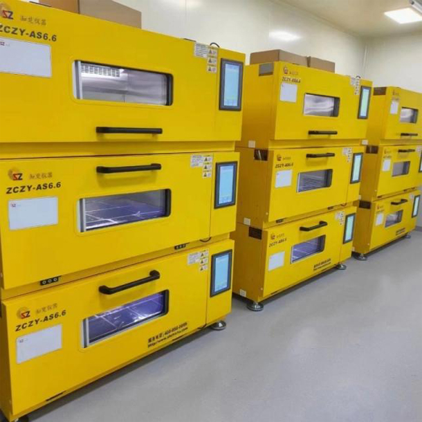 サンクトペテルブルクで、紙とバクテリアで土壌を強化する環境に優しい方法が開発されました